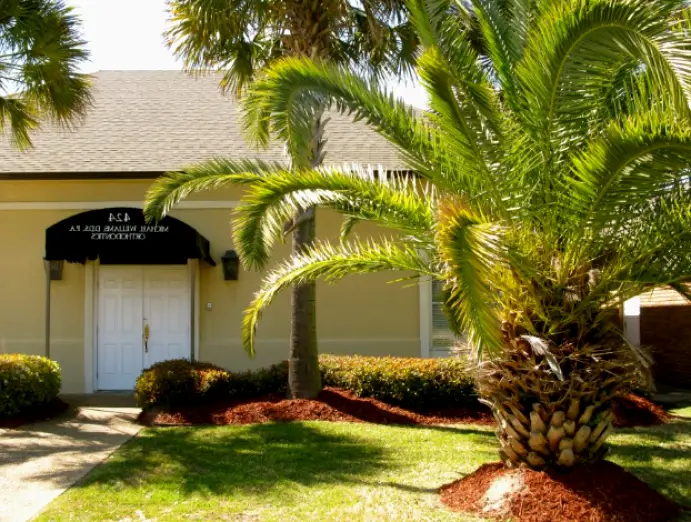 Gulfport Dr. Michael O. Williams, DDS