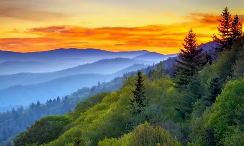 Kingsport Associated Oral & Implant Surgeons