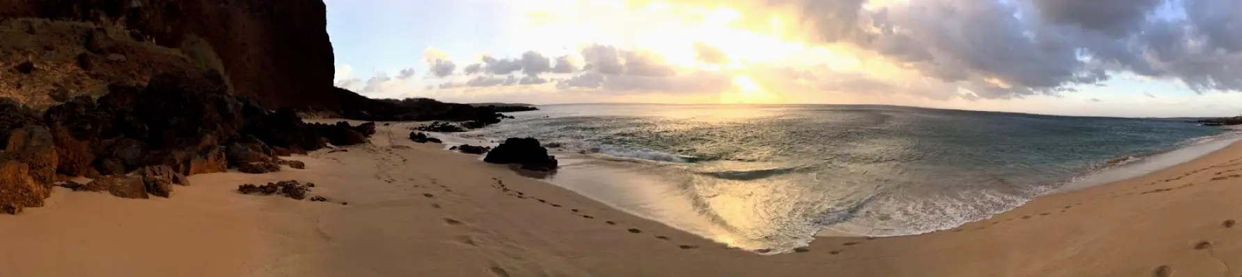 Pearl City Jon Ozaki, DDS