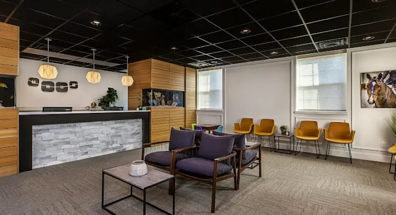 Grosse Pointe Woods Grosse Pointe Orthodontics