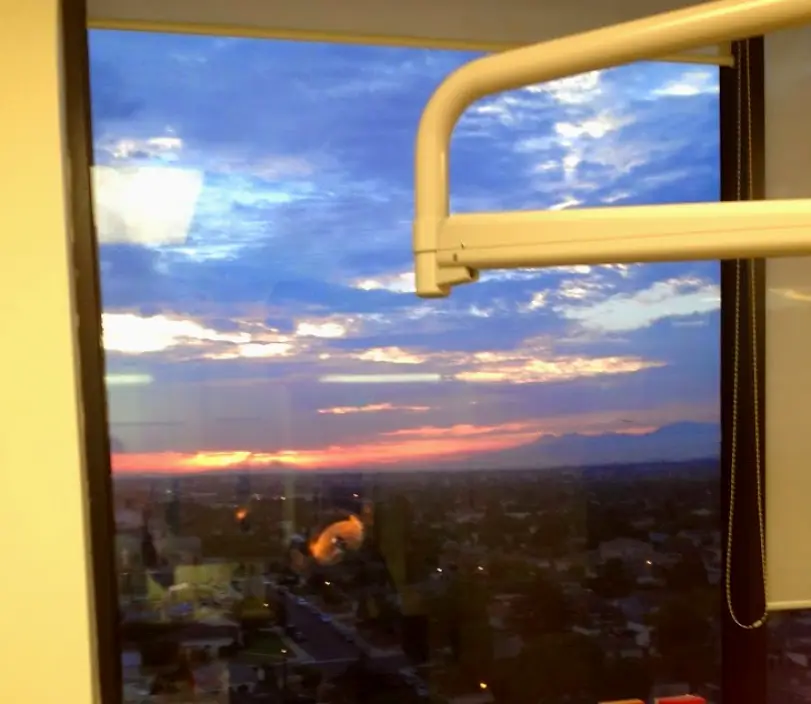  Los Angeles Downs Dental Corporation: David P. Downs, D.D.S.