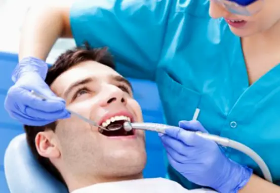 Mansfield Webster John B DDS