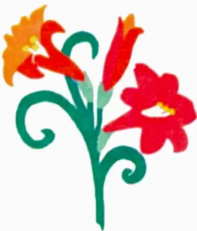 Stoughton Adriana Jaramillo DDS LLC