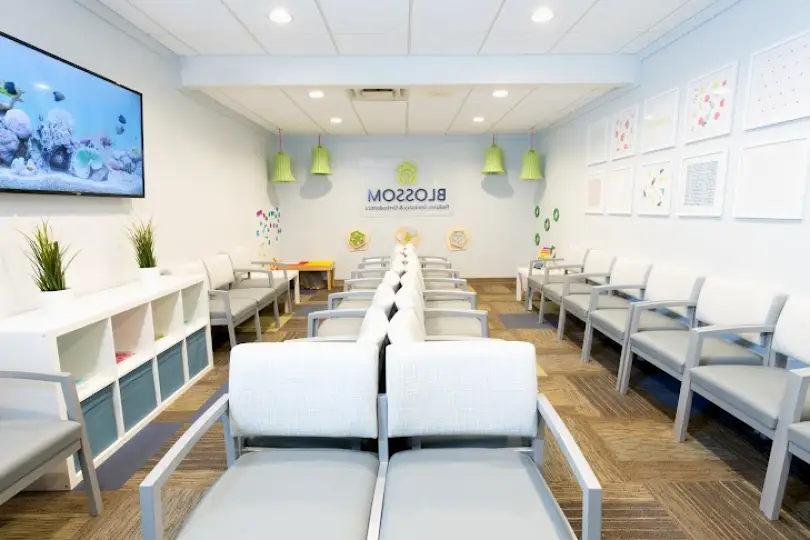 Ann Arbor Blossom Pediatric Dentistry and Orthodontics