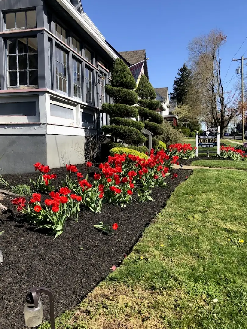 Mullica Hill Village Dental Arts