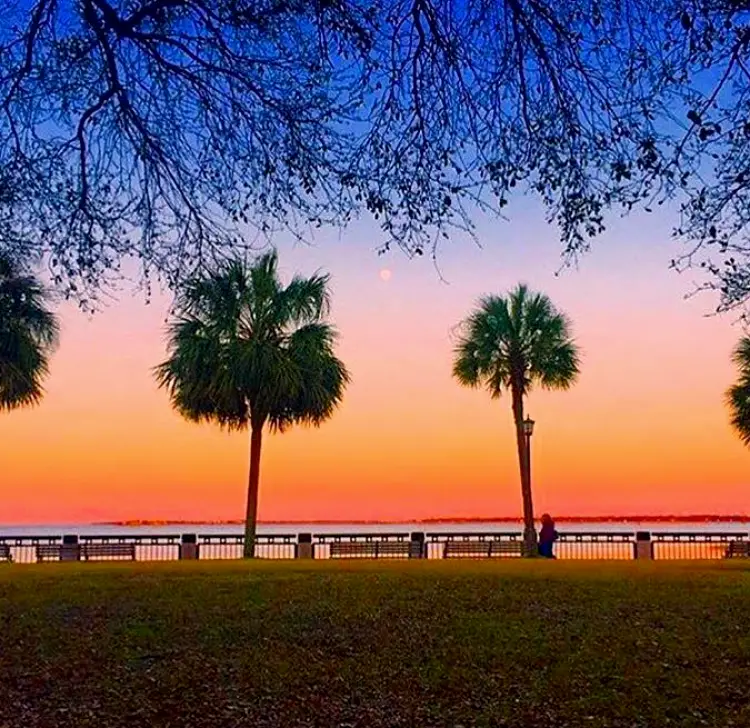 Dillon Palmetto Dentistry of South Carolina, Inc. - Nicole S. Price, DMD