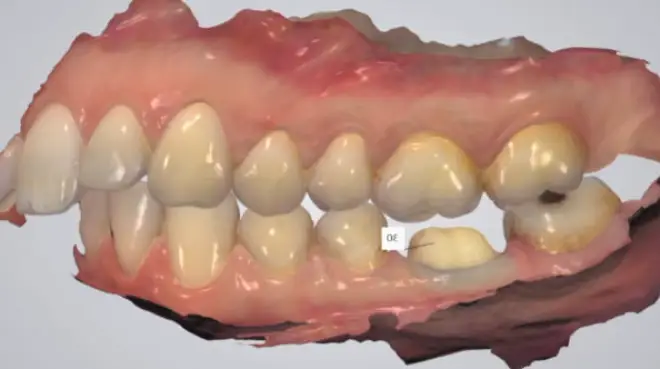 Honolulu Dr. Terrence Y. Won, DDS