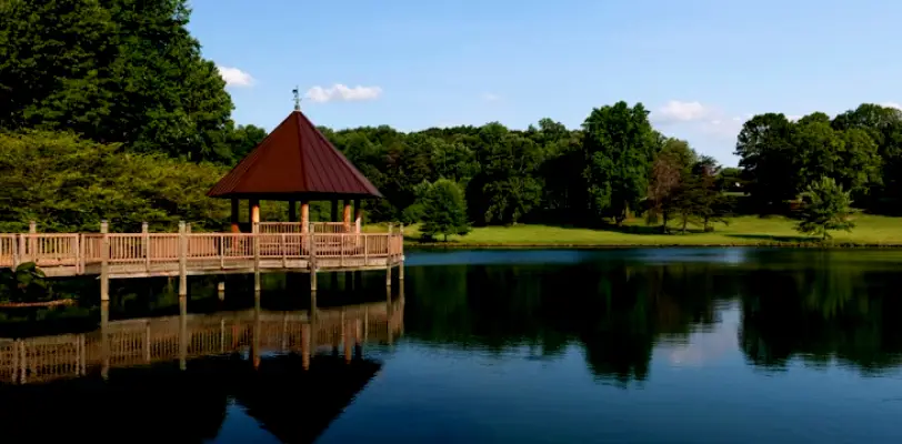 Centreville Wonje Cha, DDS