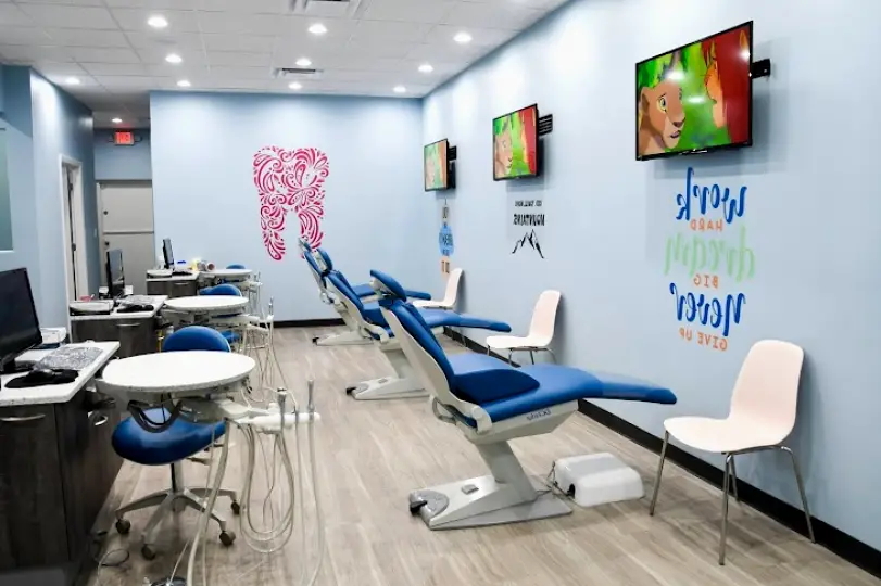 Harp Pediatric Dentistry - Palm Harbor