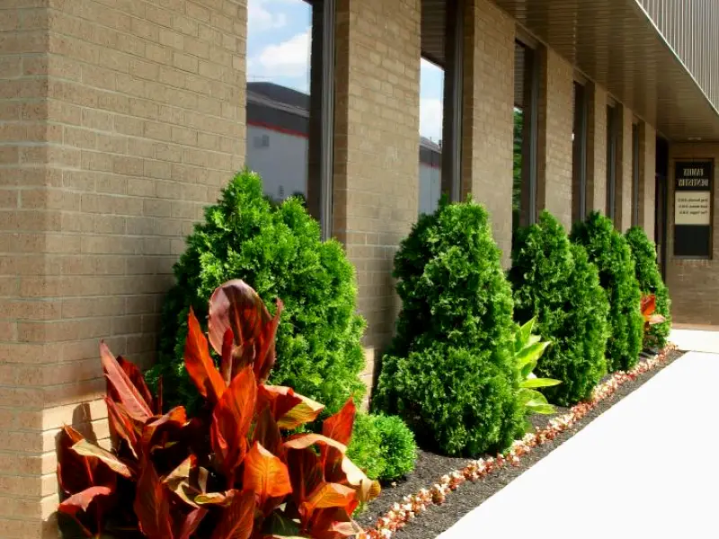  Louisville Dupont Dental Center, Dr. Greg Nunnally, DMD
