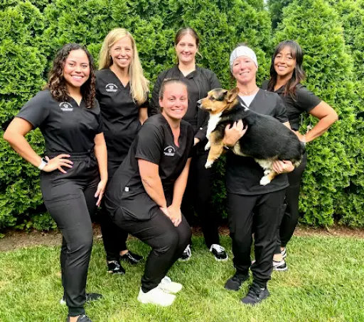 Stavisky Orthodontics - Vineland