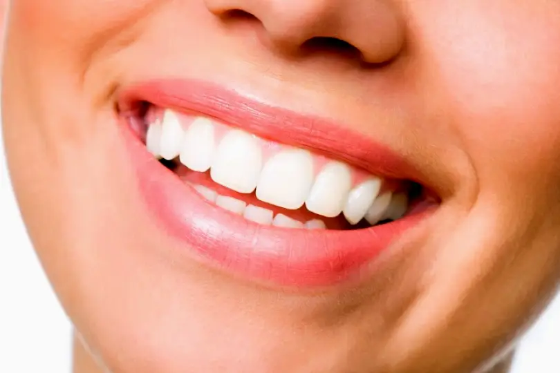 Lakeland Northside Family Dental