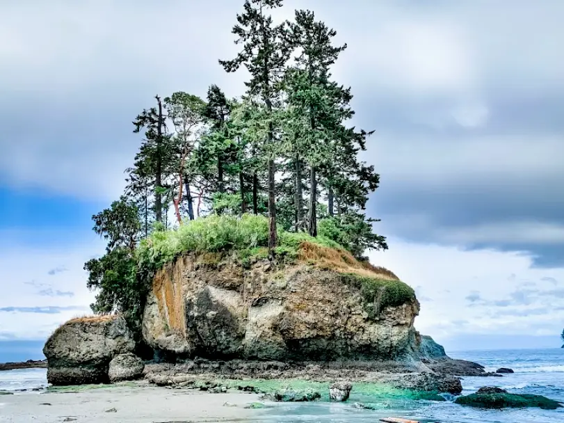 Port Angeles Dr. Aaron Swenson, DDS