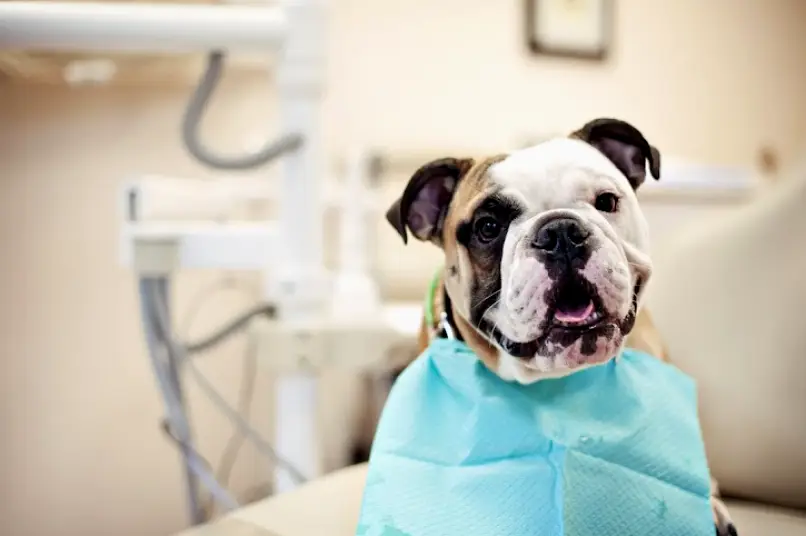 West Hartford Dental Associates | Dentist in West Hartford, CT | Nathan Berry, DMD