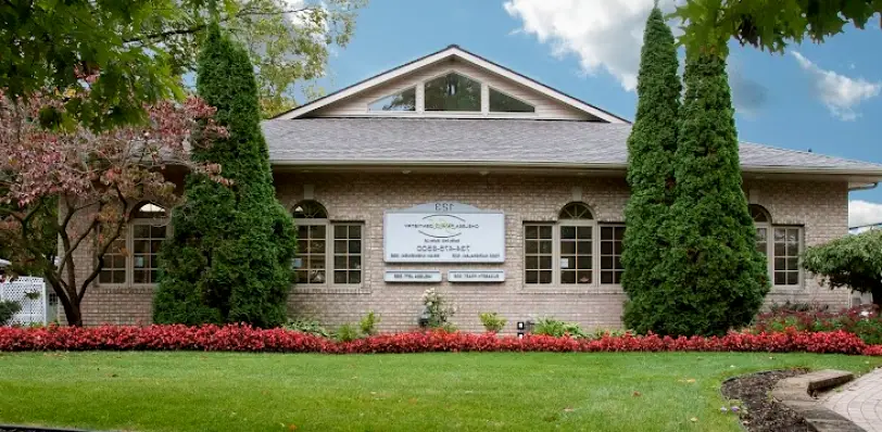 Chelsea Dr. Todd A. Napieralski, DDS