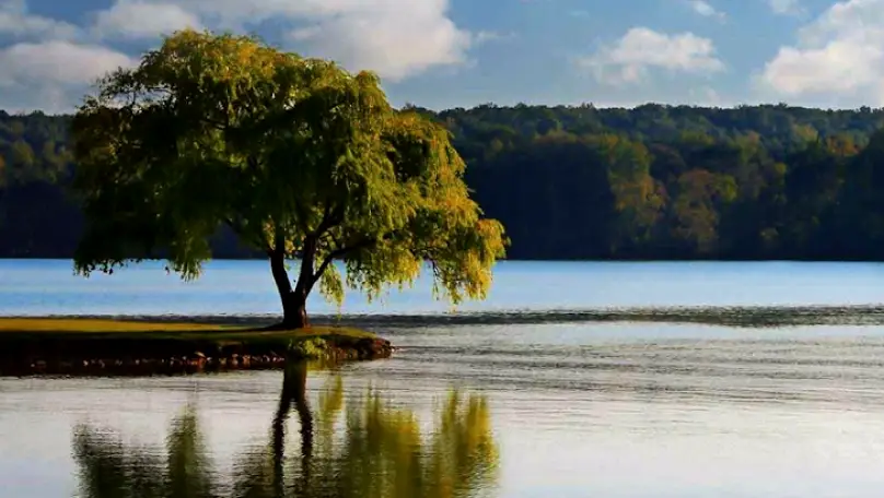 Knoxville Oral and Maxillofacial Surgery