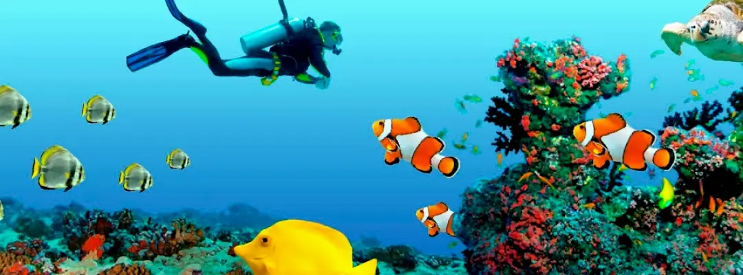  Central Oklahoma City Ocean Dental