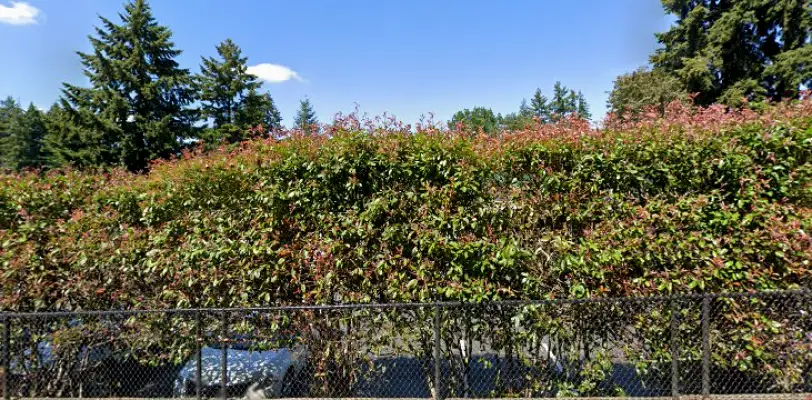 Summit Implants & Oral Surgery - Burien