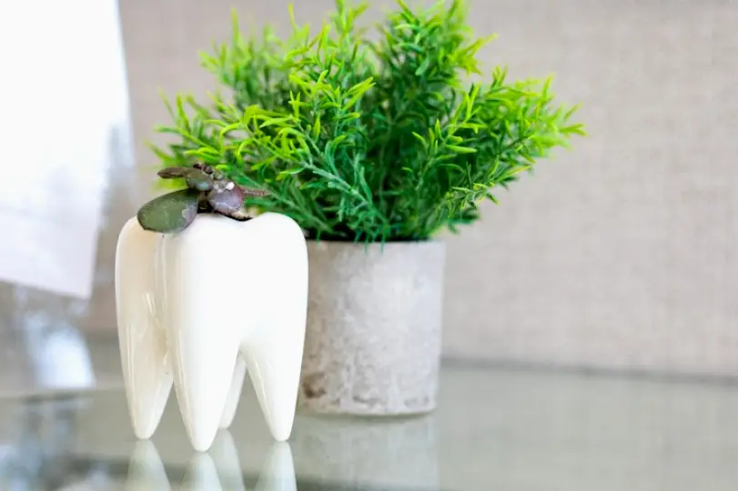 Roanoke Irby Dentistry