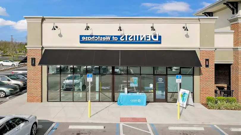  Tampa Dentists at Westchase