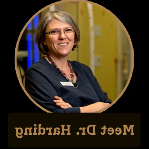 Brockport Small to Tall Dentistry for Children, PLLC: Alison Harding, DDS