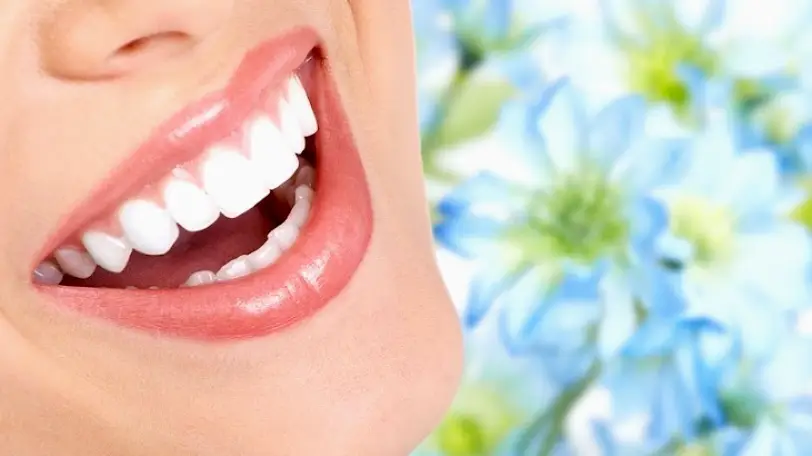 Allentown CCDC Cedar Crest Dental Care