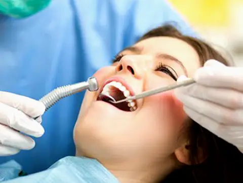 Williamsville John J Nasca Jr DDS