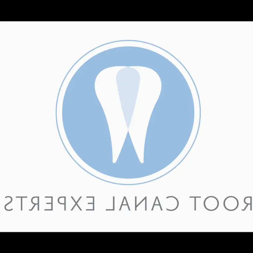  Albany Root Canal Experts