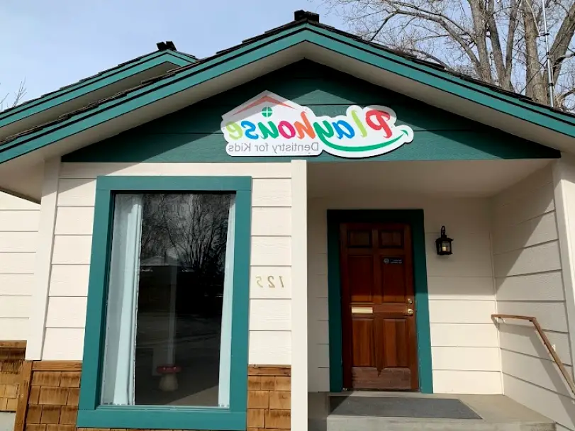 Mountain Home Playhouse Dentistry for Kids