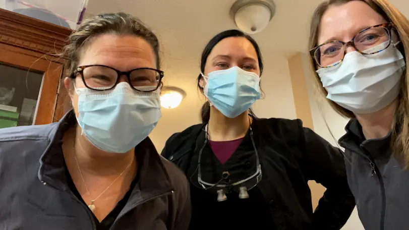  Lincoln Steckelberg Dental