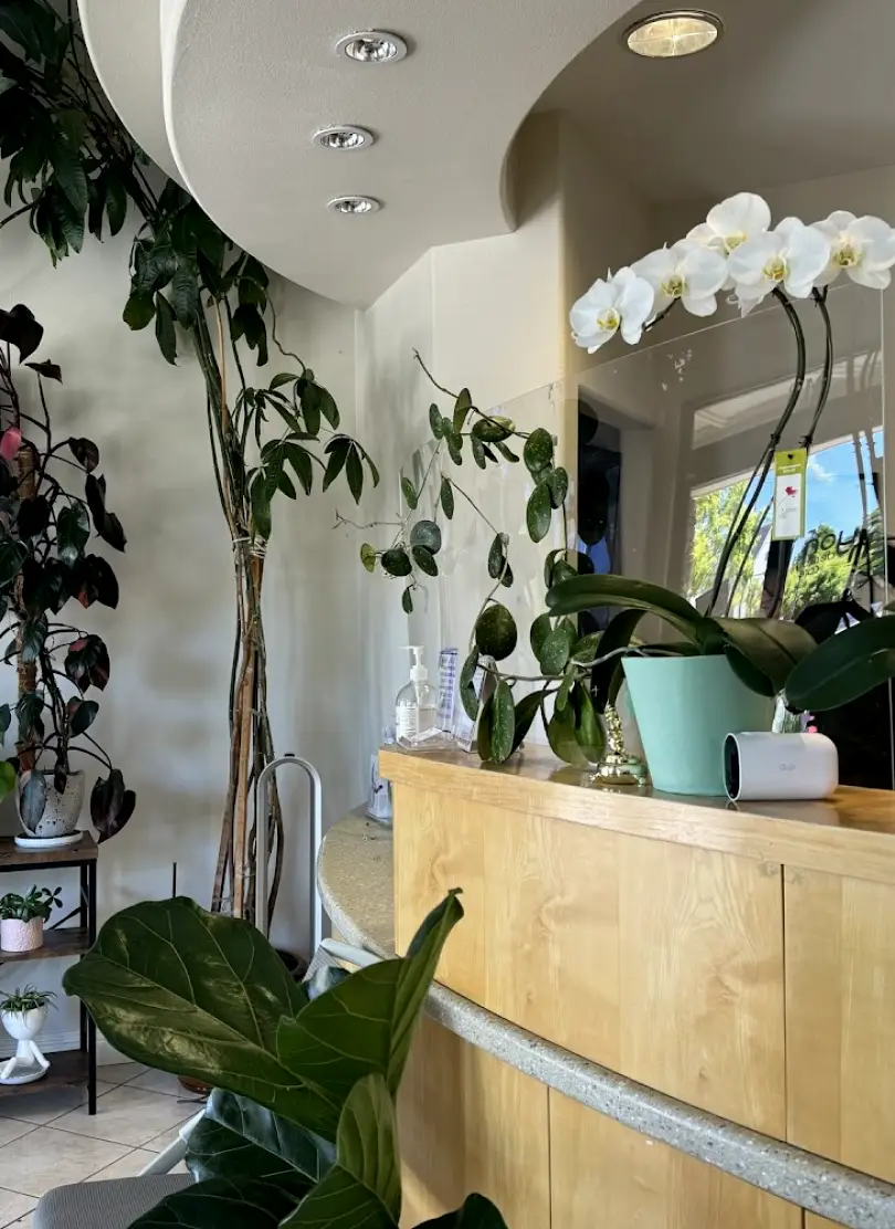 American Canyon Canyon Ranch Dental Care