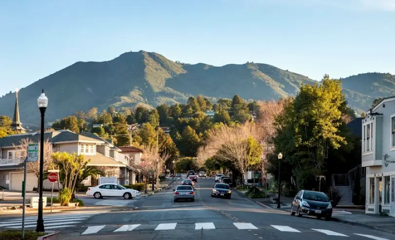 Mill Valley Negar Safapour, DDS