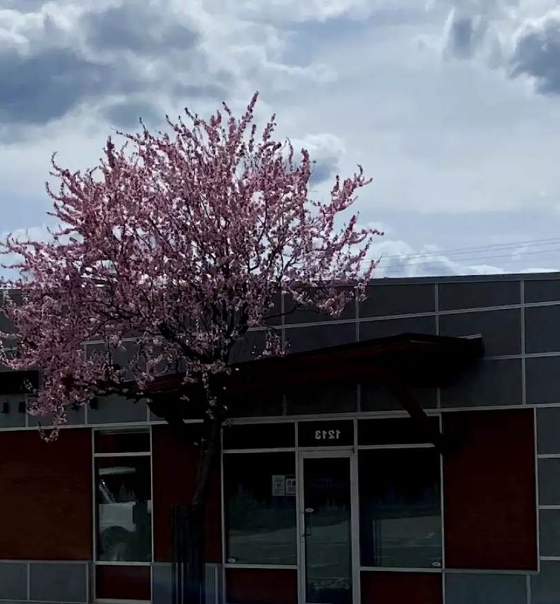 Creston Orchard Heights Dental