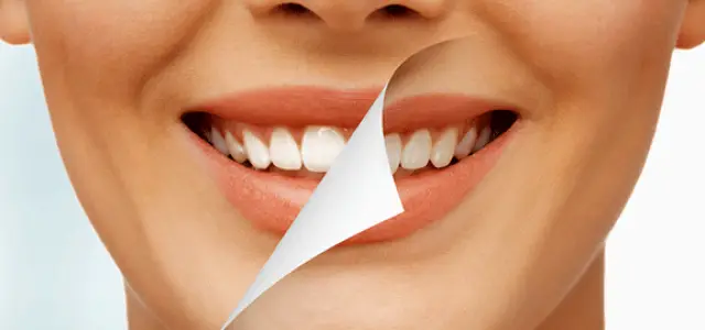  Laurel Pines Dental Group