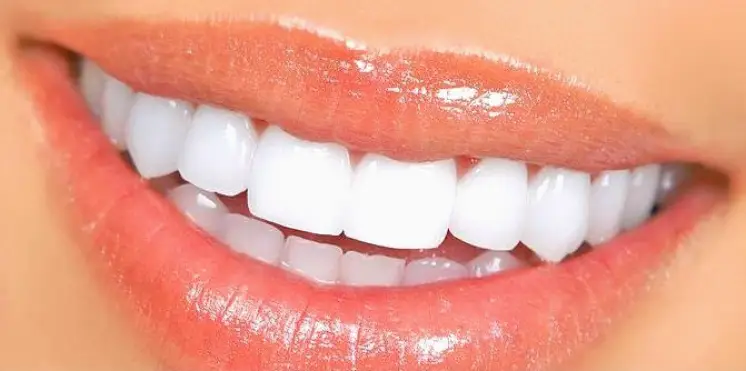 Downers Grove Brian Del Carlo, MS, DDS FAGD