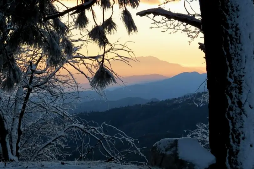 Lake Arrowhead Nisco Philip M DDS - Orthodontist