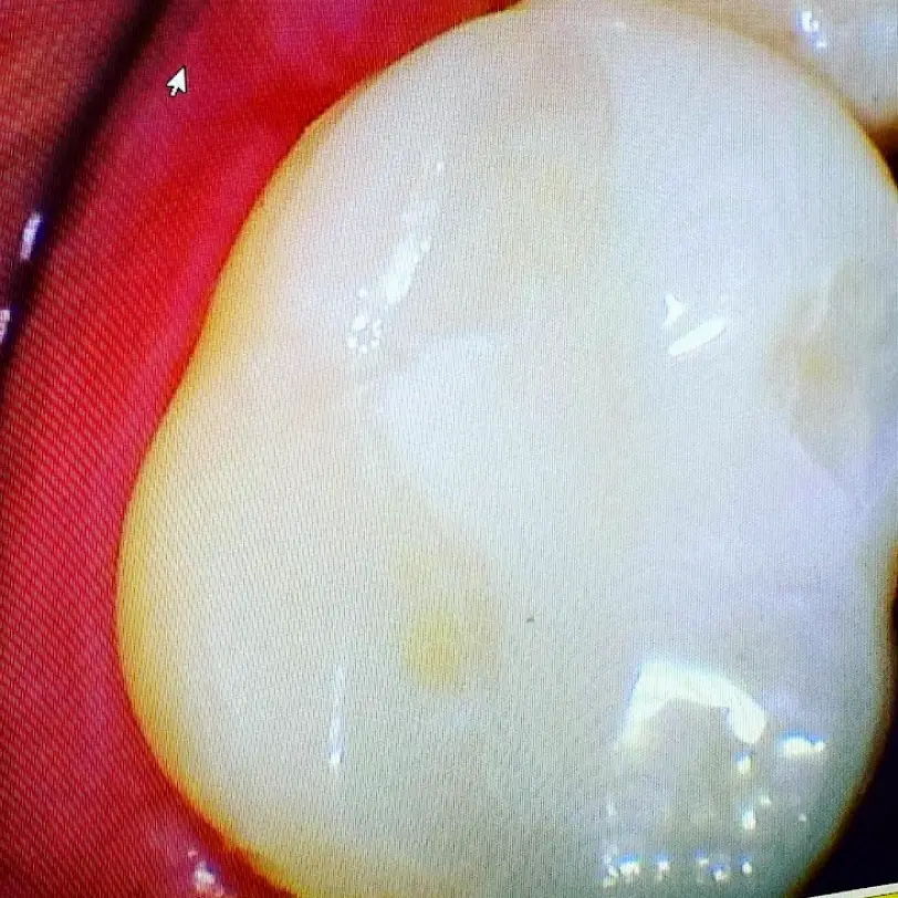 Pageland Jackson Family Dental