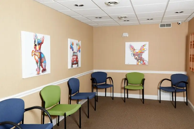 Nashua Simply Pediatric Dentistry & Orthodontics