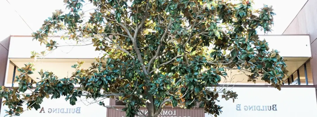 Loma Linda Dental Faculty Associates