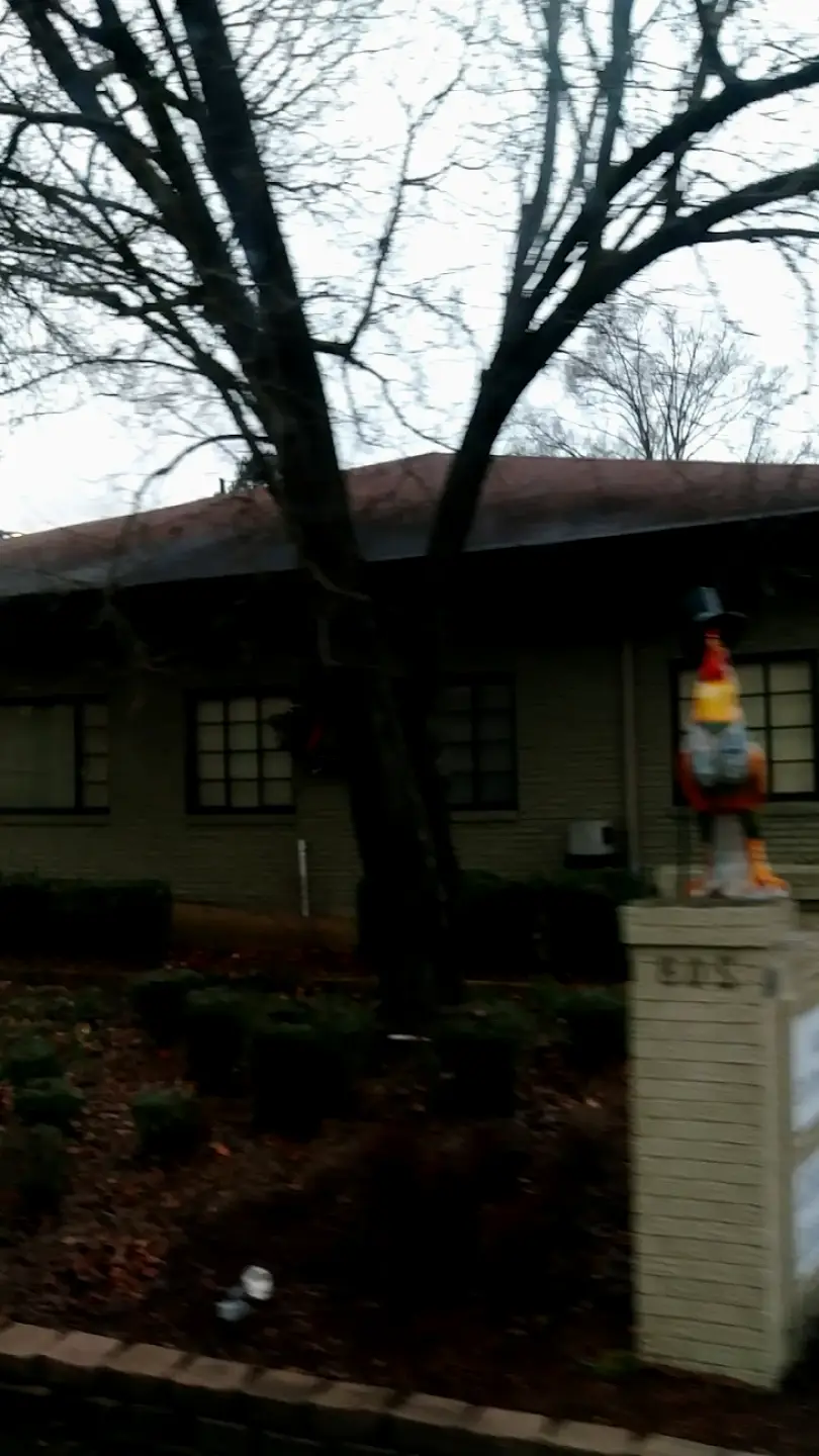 Forest Reynolds Dental Clinic: Owen Simone