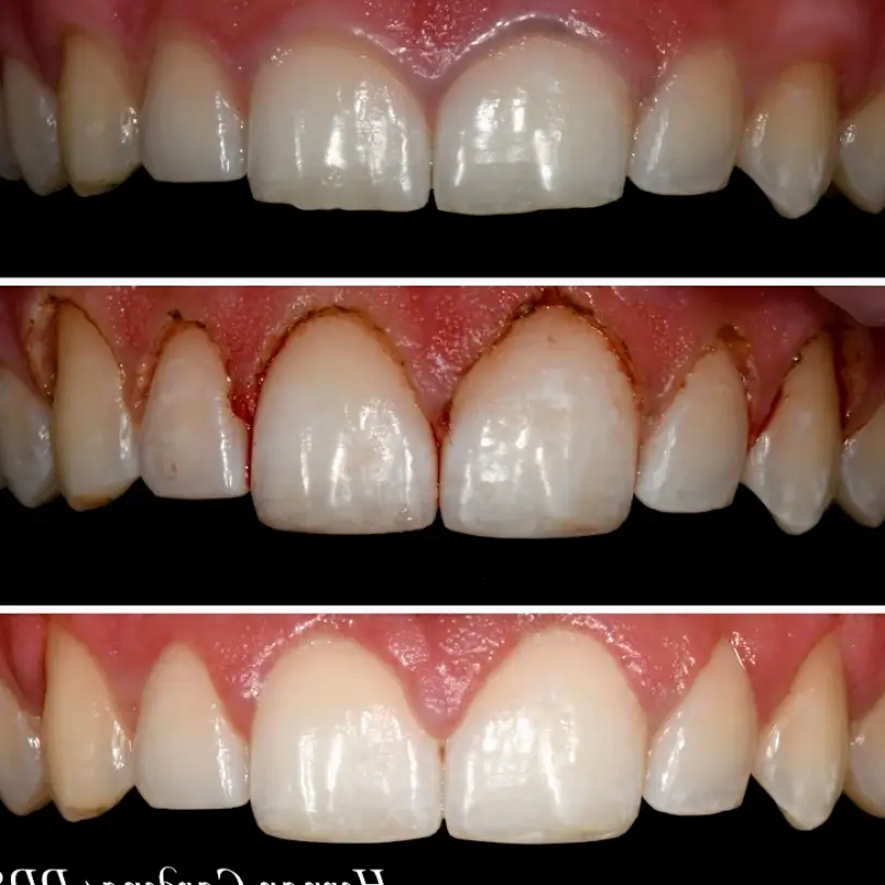Campbell Cardenas Hernan DDS