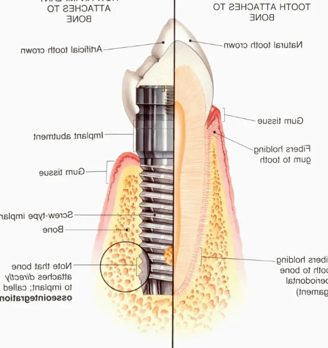  Spokane Northpointe Family Dentistry