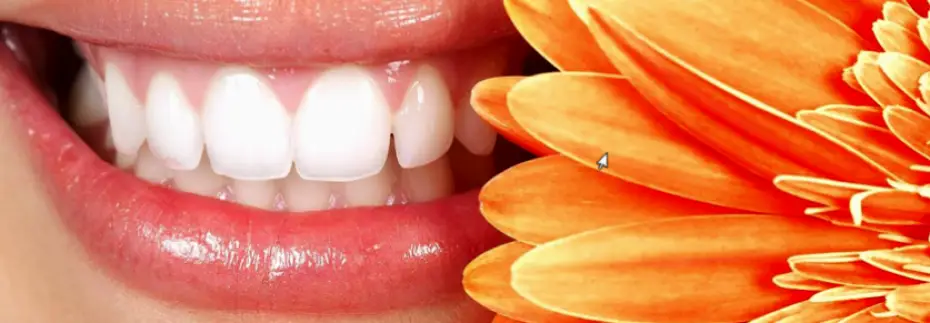 Gatineau Dental Clinic Dr.Mansouri