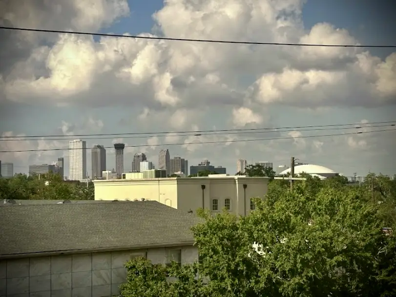 New Orleans NOLA Endodontics