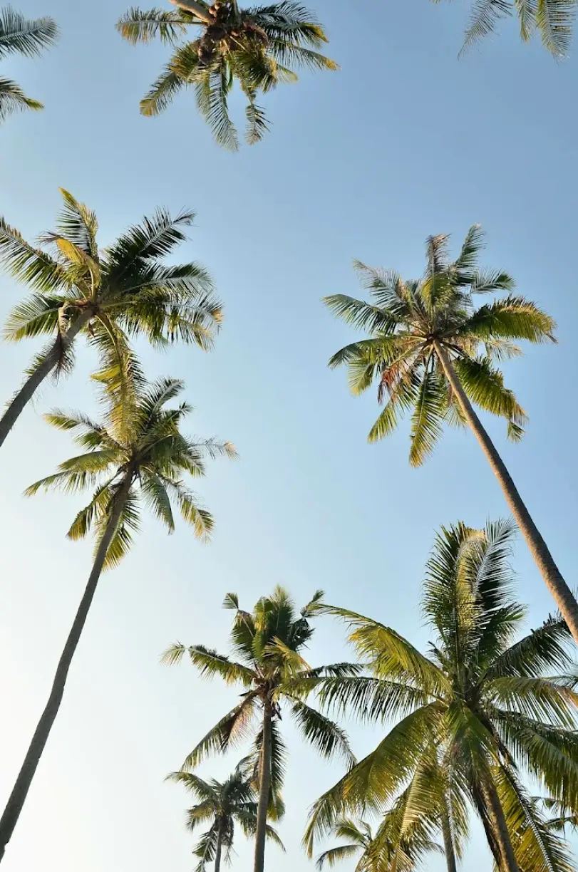 West Palm Beach Oral & Maxillofacial Surgery