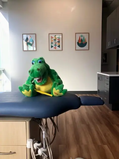  Bainbridge Island Bainbridge Kids Dentistry
