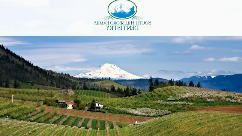  South Hillsboro Family Dentistry