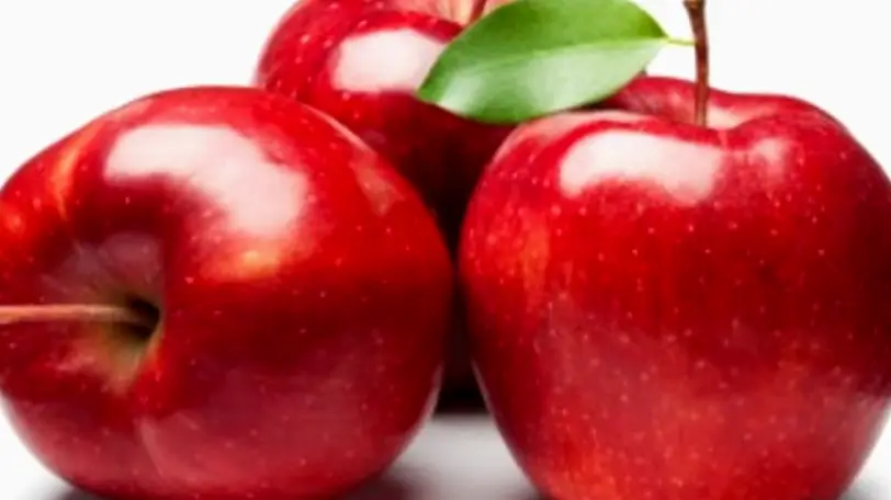  Clearfield Apple Creek Dental: Sorensen Clifford O DDS