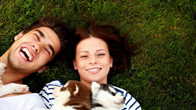 Pleasant Grove McIff Dental Care: McIff Steven F DDS