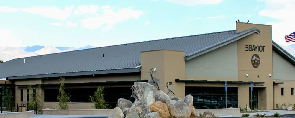 Bishop Toiyabe Indian Health Project